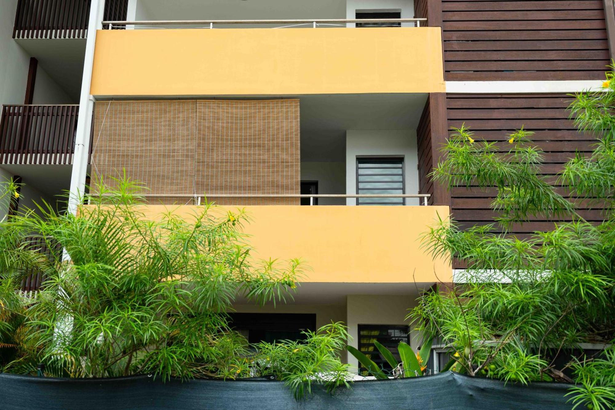 Hibiscus Standing- Appartement Cosy- 2 Chambres Climatisees- Cuisine Equipee- Wifi-Terrasse カイエンヌ エクステリア 写真